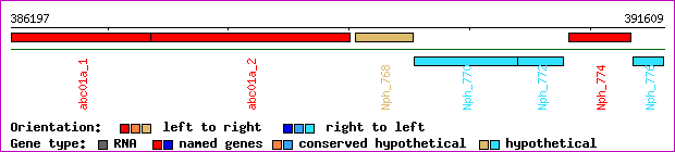 gene map