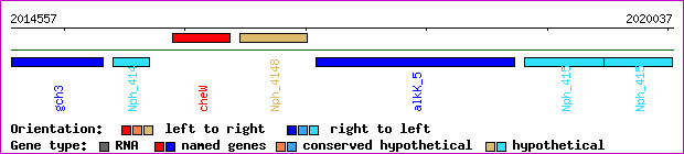 gene map