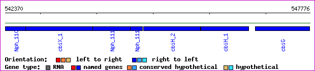 gene map