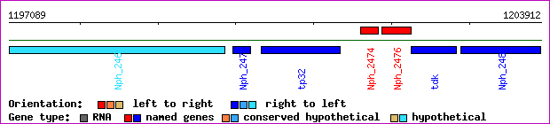 gene map