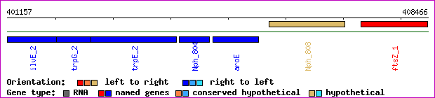 gene map