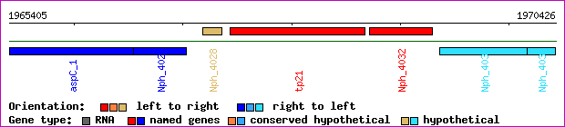 gene map
