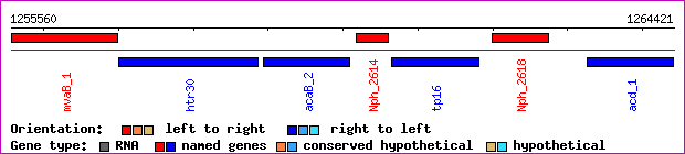gene map