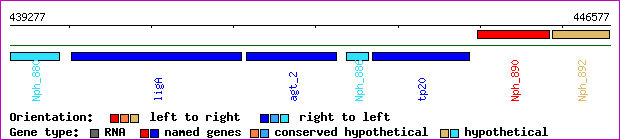 gene map