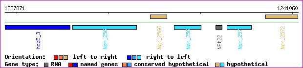 gene map