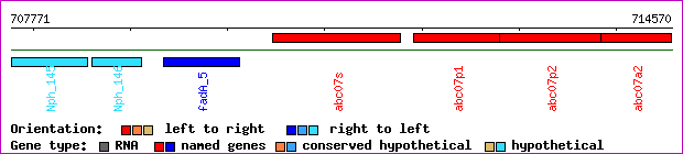 gene map