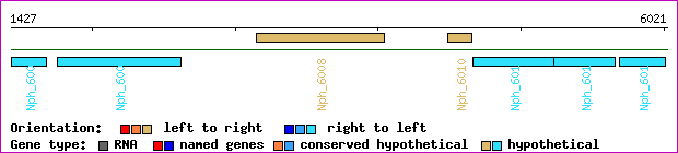 gene map