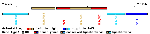 gene map
