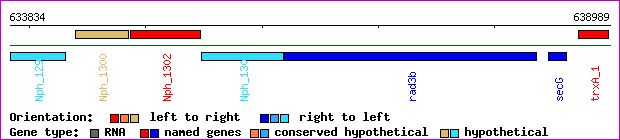 gene map
