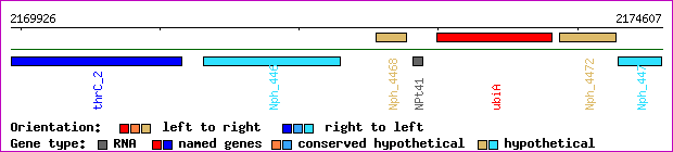 gene map
