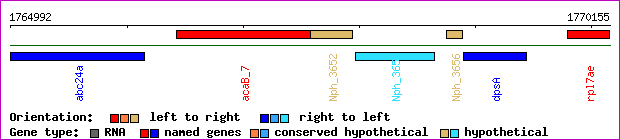 gene map