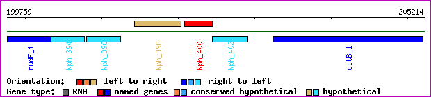 gene map