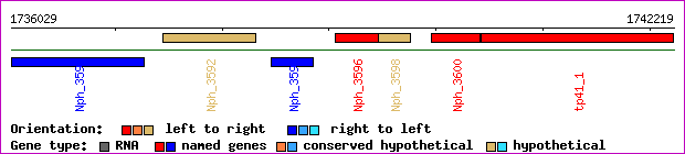 gene map