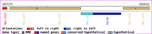 gene map