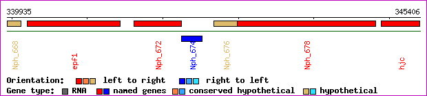 gene map