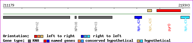 gene map