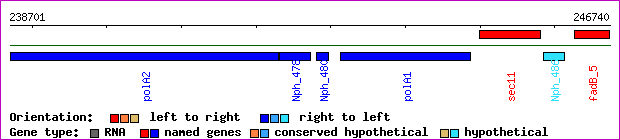 gene map