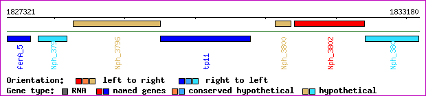 gene map