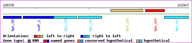 gene map