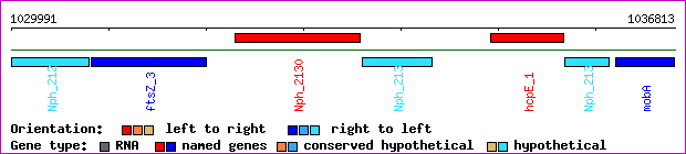 gene map