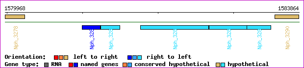 gene map