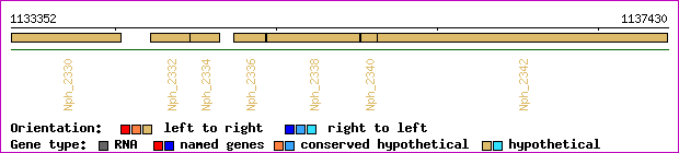 gene map