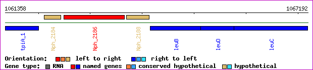 gene map