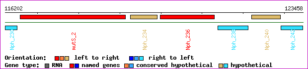 gene map