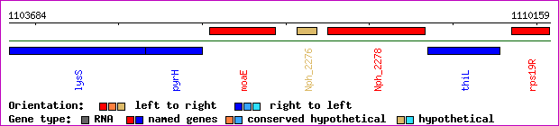 gene map