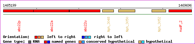 gene map