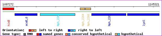 gene map