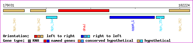 gene map