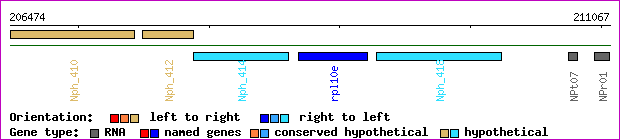 gene map