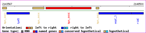 gene map