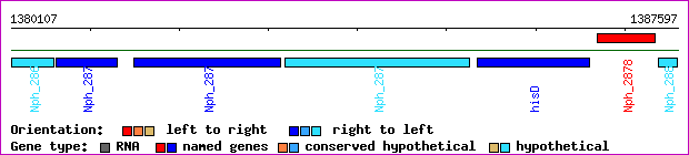 gene map