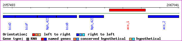gene map