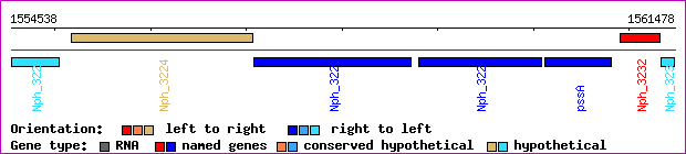 gene map