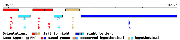 gene map