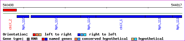 gene map