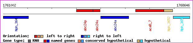 gene map
