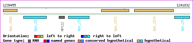 gene map