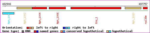 gene map
