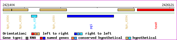 gene map