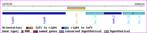 gene map