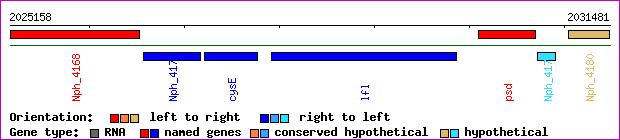gene map