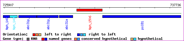 gene map