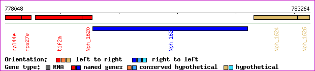 gene map