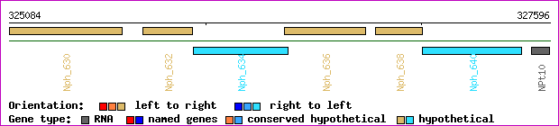 gene map