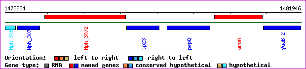 gene map
