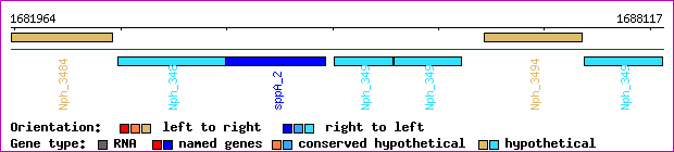 gene map